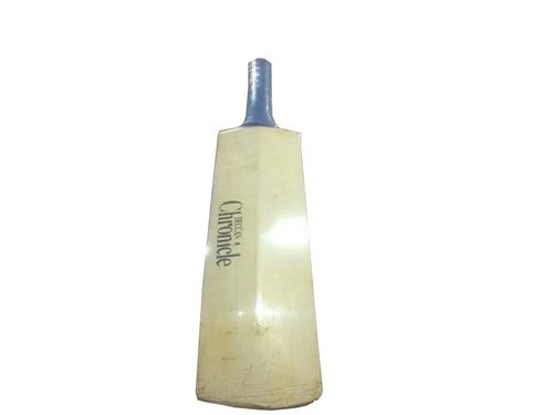 Cricket Bat 