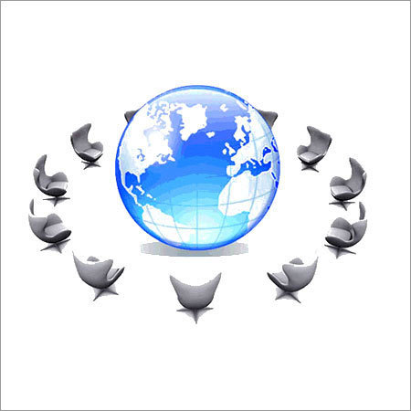 MLM Software Designing