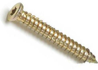 Concrete Screw