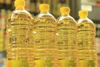 Edible Oil Filtration System