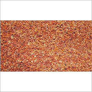 Ragi Ragi
