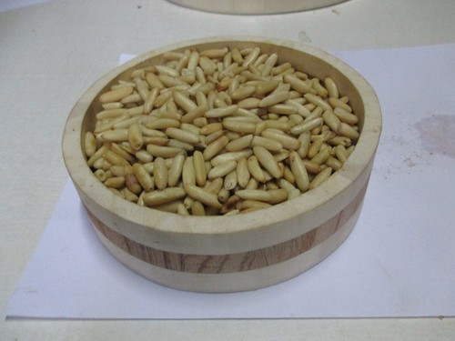 Neja (Pine Nuts)