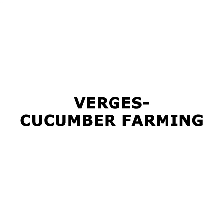 Vegetables Farming