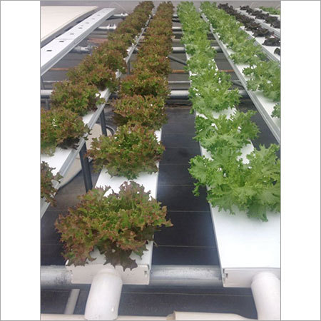 NFT System