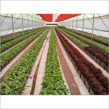 Greenhouse Trough System