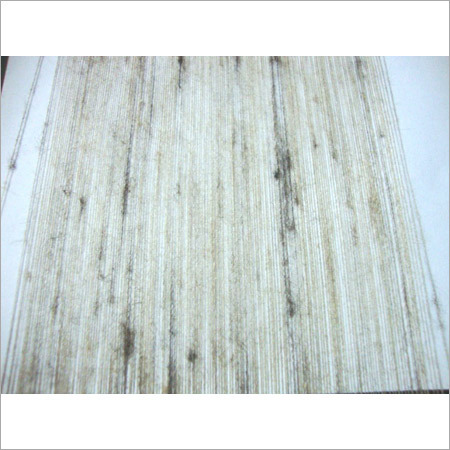 65Nm Tussar Kete Silk Yarn