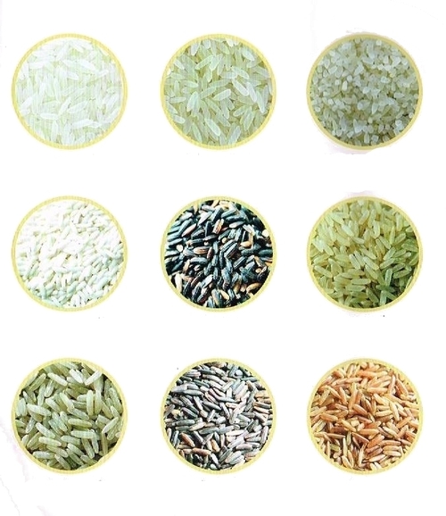 Indian Rice