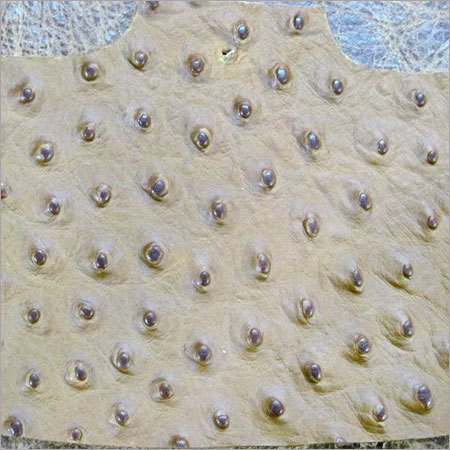 Ostrich Print Finished Leather