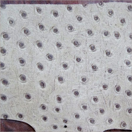 Ostrich Print Leather
