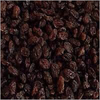 Dark Brown Raisin