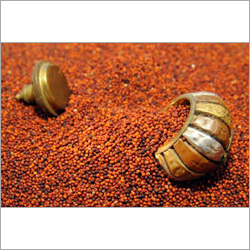 Eleusine Ooracana