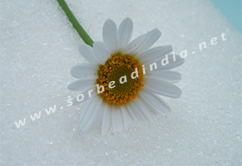 Silica Gel