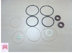 Hydraulic Pump Repair Kit