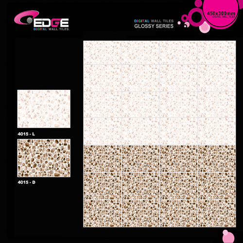Bluestone Flamed Tiles