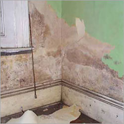 Rising Dampness Treatment