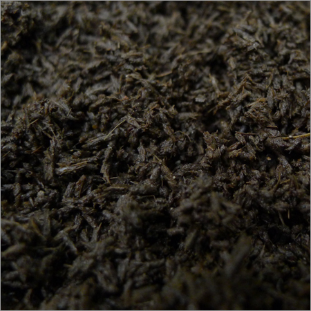 Worm Casting Fertilizer