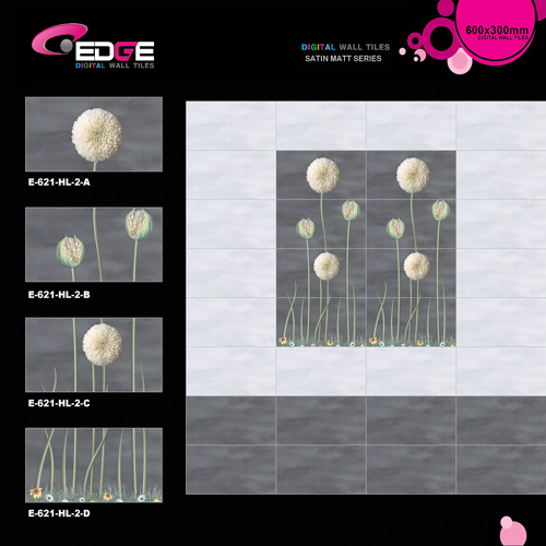 Digital Glazed Matte Tiles