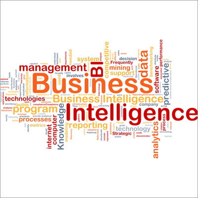 Business Intelligence Software