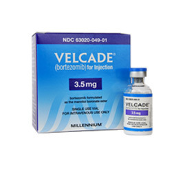 bortezomib (velcade)