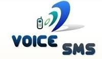 Bulk Voice Calls Services