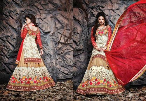 Wonderful Lehenga Choli