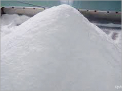 Desiccated Coconut Powder