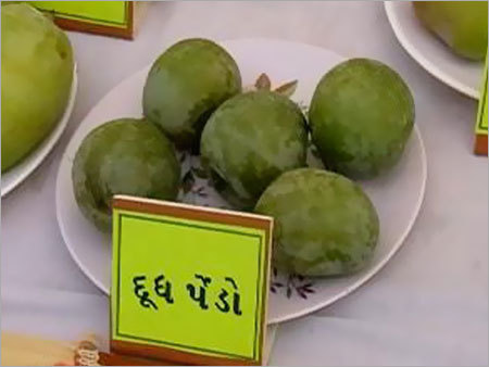 Dudh Pendo Mango