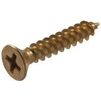 SS Self Tapping Screw