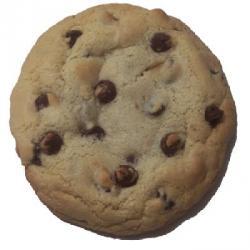 Protein Biscuits