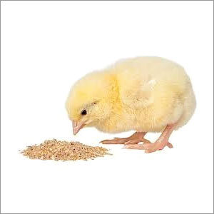 Poultry Feed