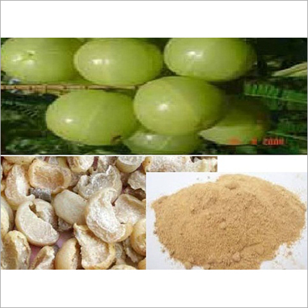 Amla Powder
