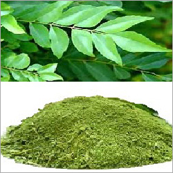 Dry Curry Leaf Powder