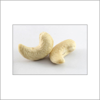 Indian Cashew