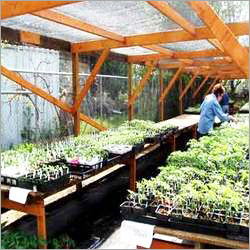 Shade House