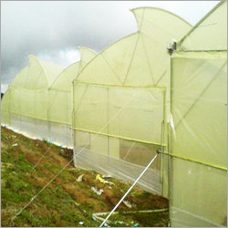 Natural Ventilated Greenhouse