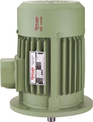 Flange Mounted Electric Motor