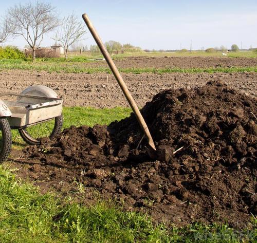 Natural Fertilizers