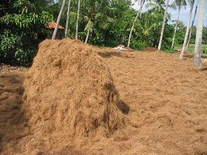 Coir Compost