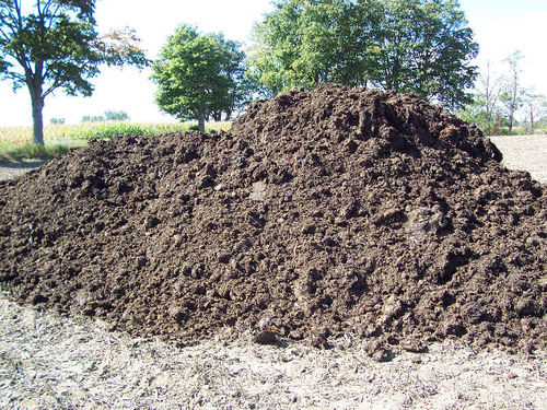 Organic Fertilizer