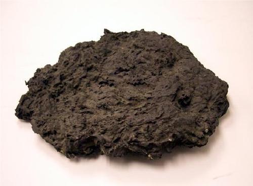 Bio Compost