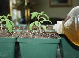 Plant Liquid Fertilizers