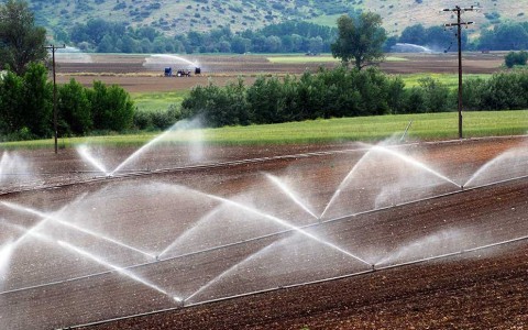 Agro Liquid Fertilizer
