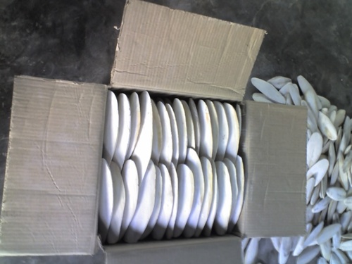 Packed Trimmed Cuttlefish Bone