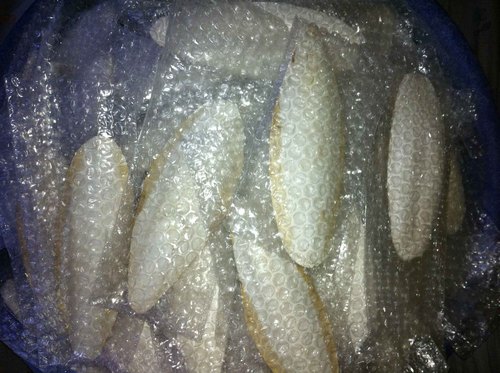Packed Cuttlefish Bone
