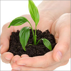 ISO-14001:2004 Certification