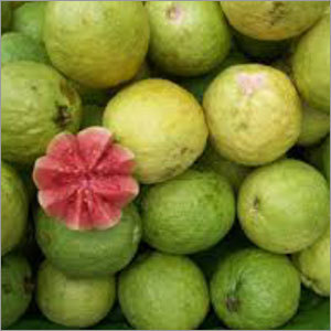 Green Fresh Guava