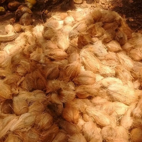 Brown Semi Husk Coconut