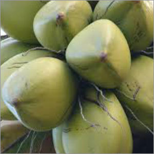 Diamond Green Coconut