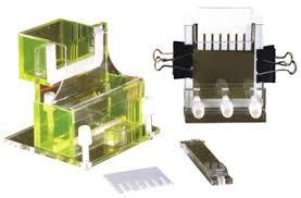 Vertical Slab Gel Electrophoresis Apparatus