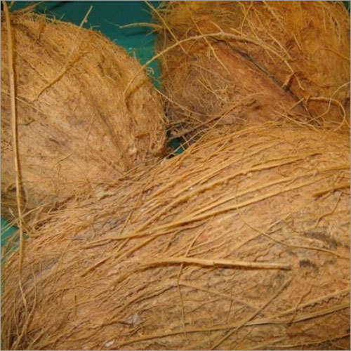 Coconuts